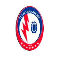 Proveedor de Seguridad en CF Rayo Majadahonda